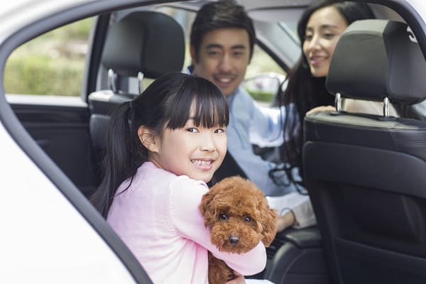 Cars For Your Family