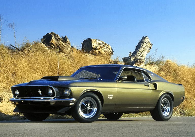 Muscle Cars